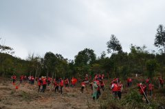 德晟集團(tuán)參加2017年市區(qū)義務(wù)植樹(shù)活動(dòng)